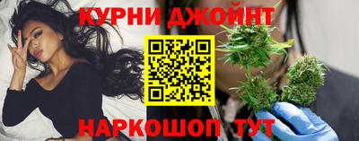 молекула духа Будённовск