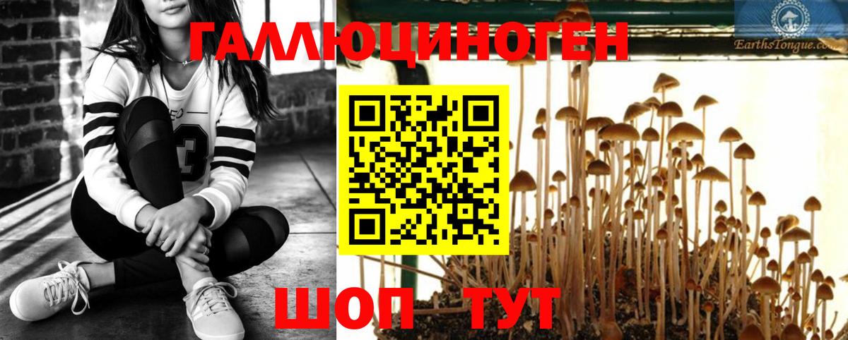 Галлюциногенные грибы Magic Shrooms  Вход с VPN  Тавда 